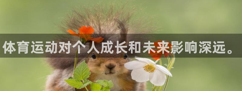 MK体育官方正版app神州：体育运动对个人成长和未来影响深远
