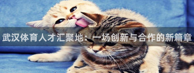 注册MK体育官方正版app：武汉体育人才汇聚地：一场