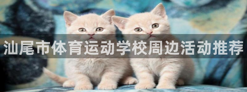 MK体育官方正版app集团：汕尾市体育运动学校周边活