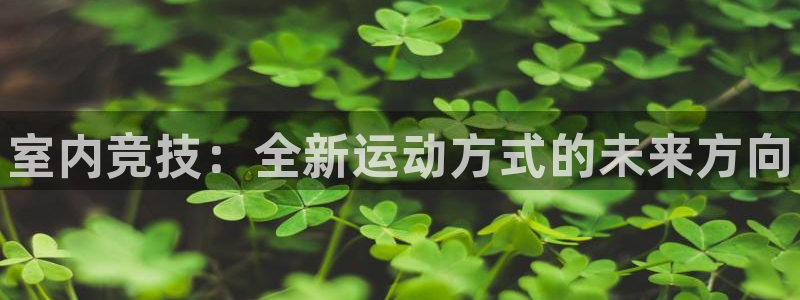 MK体育官网下载招商电话号码是多少啊
