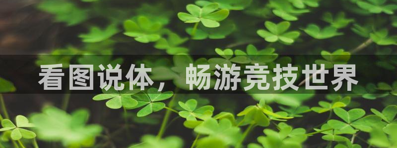德国MK体育官方正版app集团：看图说体，畅游竞技世