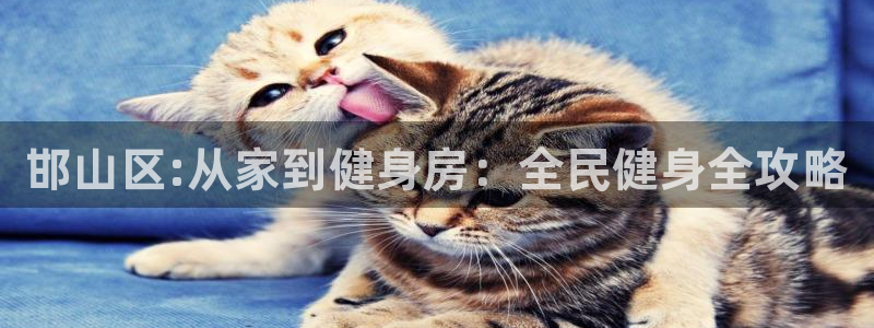 MK体育官网下载招商电话是多少啊：邯山区:从家到健身