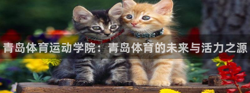 MK体育官网下载平台注册要钱吗是真的吗：青岛体育运动