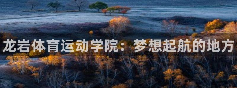 MK体育官网下载软件