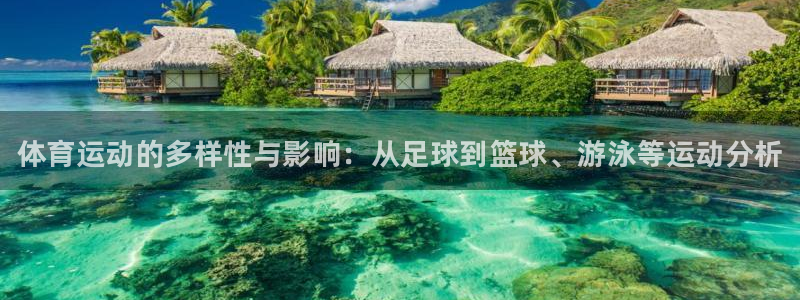 MK体育官网下载平台注册要钱吗：体育运动的多样性与影