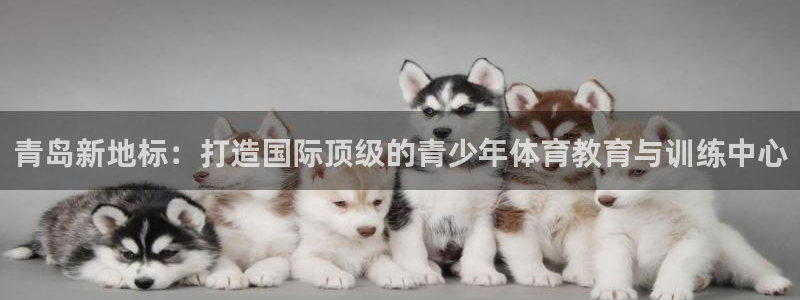 MK体育官方集团官网：青岛新地标：打造国际顶级的青少年体育教