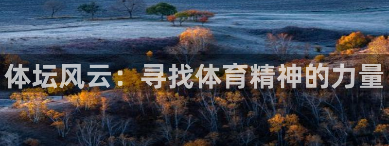 MK体育官网下载娱乐