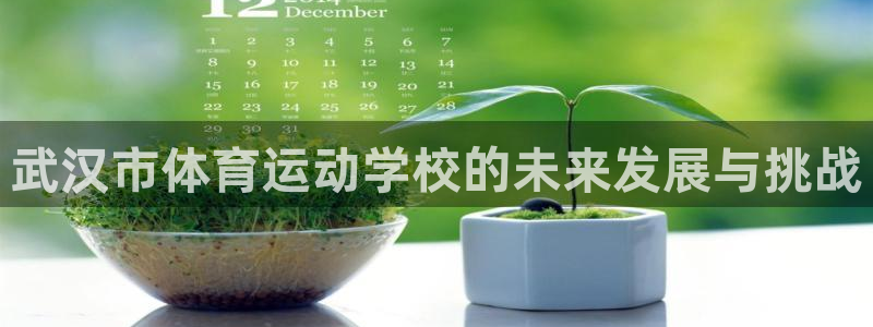 MK体育官网下载招商电话是多少啊：武汉市体育运动学校
