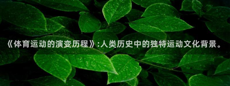 MK体育官网下载招商电话地址是多少：《体育运动的演变