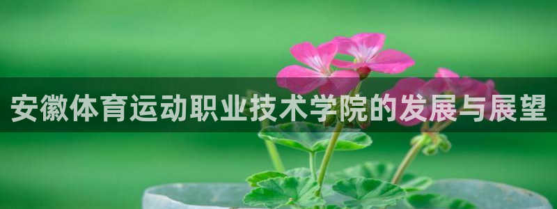 MK体育官方正版app集团logo：安徽体育运动职业