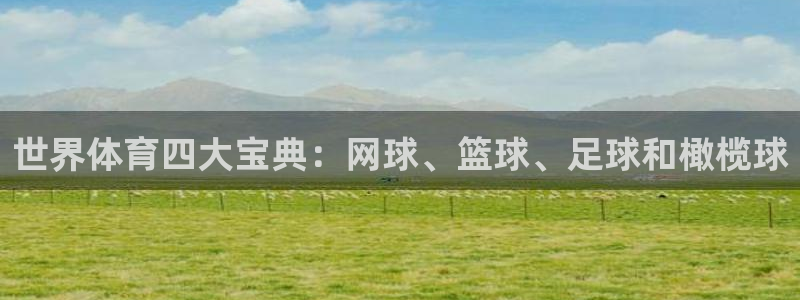 MK体育官方正版app代理：世界体育四大宝典：网球、篮球、足