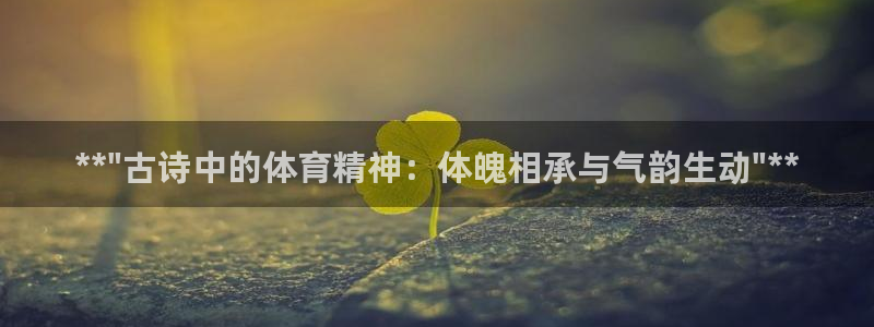 MK体育官方正版app集团官网网址：**\