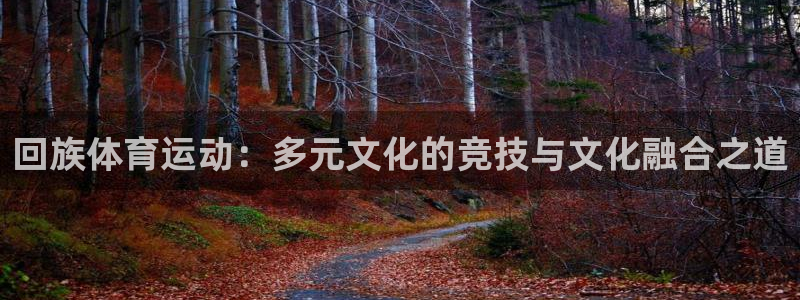 MK体育官方正版app集团简介：回族体育运动：多元文化的竞技