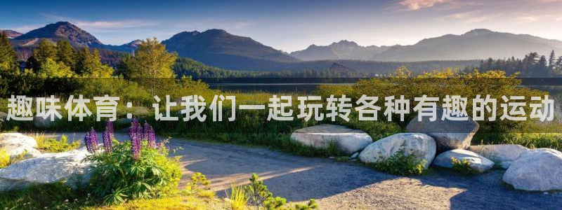 MK体育官方正版app集团E.ON