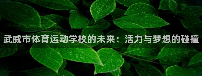 mk体育是黑台子吗知乎：武威市体育运动学校的未来：活力与梦想