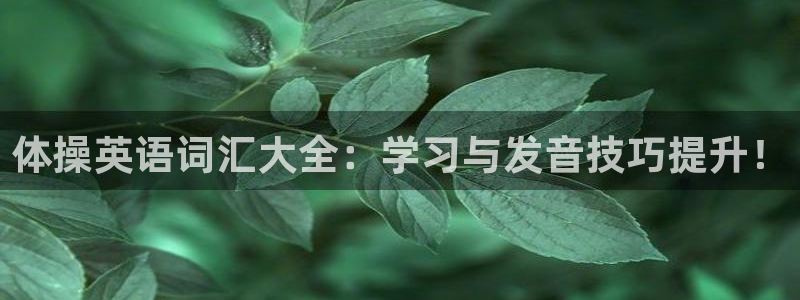 mk体育登录：体操英语词汇大全：学习与发音技巧提升！