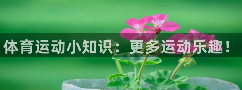 mk体育全站app下载：体育运动小知识：更多运动乐趣！