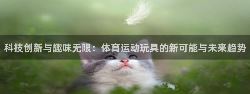  mk体育在线官网首页直播：科技创新与趣味无限：体育运动玩具的