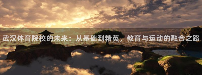  mk体育买的鞋是真的吗：武汉体育院校的未来：从基础到精英，教