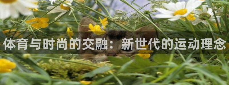 MK体育官方正版app娱乐：体育与时尚的交融：新世代的运动理