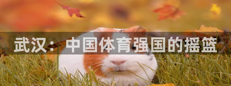 MK体育官网下载招商电话是多少：武汉：中国体育强国的摇篮